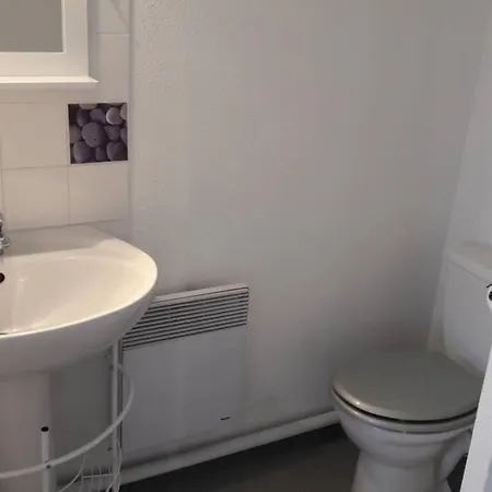 Studio Au Calme Pres De La Faculte Appartement *